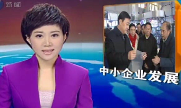 董事长参加沈阳市委书记曾维召开中小企业家座谈会 《沈阳新闻》  2012/2/15 