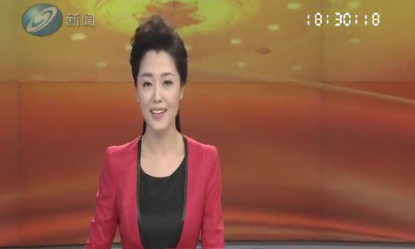 董事长在政协沈阳市第十四届委员会发言  《沈阳新闻》 2016/01/16 