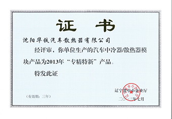 辽宁省专精特新产品奖-2013