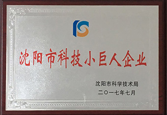 科技小巨人企业