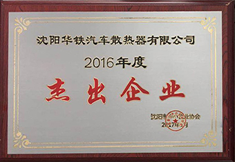 2016年度杰出企业