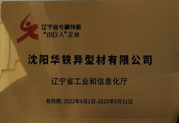 辽宁省专精特新“小巨人”企业