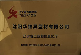 辽宁省专精特新“小巨人”企业